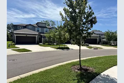 345 Villa Corte Drive, Lutz, FL 33549 - Photo 3