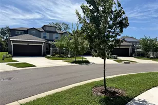 345 Villa Corte Dr, Lutz, FL 33549 - Photo 3
