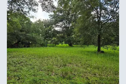 11110 Serenity Oaks Lane, Thonotosassa, FL 33592 - Photo 5