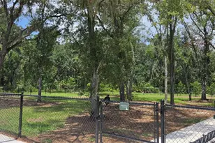 36645 Sagemoor Dr, Zephyrhills, FL 33541 - Photo 45
