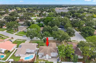 3097 Haverford Dr, Clearwater, FL 33761 - Photo 43