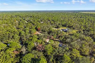 17539 Edwin Terrace, Hudson, FL 34667 - Photo 7