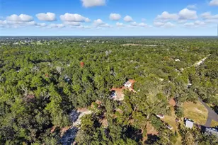 17539 Edwin Terrace, Hudson, FL 34667 - Photo 9