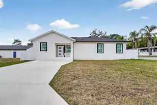 11710 Bradley Rd, Thonotosassa, FL 33592 - Photo 1