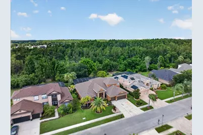 16410 Ivy Lake Drive, Odessa, FL 33556 - Photo 3