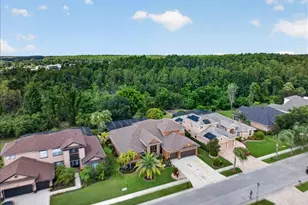 16410 Ivy Lake Dr, Odessa, FL 33556 - Photo 3