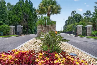 16410 Ivy Lake Drive, Odessa, FL 33556 - Photo 49