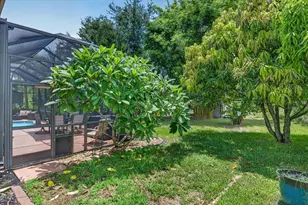 16410 Ivy Lake Dr, Odessa, FL 33556 - Photo 43