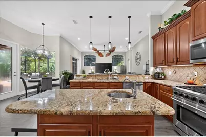 16410 Ivy Lake Drive, Odessa, FL 33556 - Photo 19