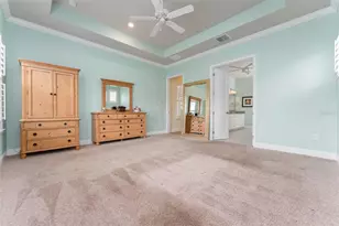 14008 Swallow Hl Dr, Lithia, FL 33547 - Photo 25