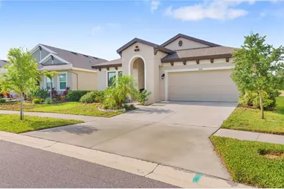 6227 Golden Nettle Drive, Apollo Beach, FL 33572 - Photo 3