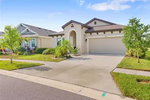 6227 Golden Nettle Dr, Apollo Beach, FL 33572 - Photo 3