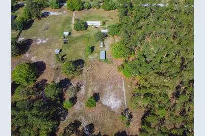 3320 Tina Marie Drive, Wesley Chapel, FL 33543 - Photo 47