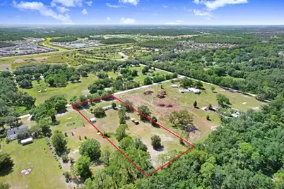 3320 Tina Marie Drive, Wesley Chapel, FL 33543 - Photo 5