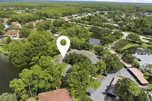 3399 Mermoor Dr, Palm Harbor, FL 34685 - Photo 29