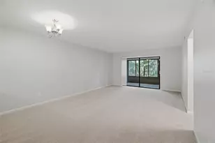 3399 Mermoor Dr, Palm Harbor, FL 34685 - Photo 11