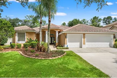 18115 Regents Square Drive, Tampa, FL 33647 - Photo 1