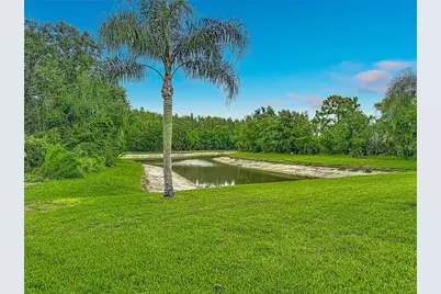 1521 Baythorn Drive, Wesley Chapel, FL 33543 - Photo 75