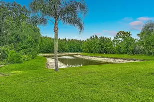 1521 Baythorn Dr, Wesley Chapel, FL 33543 - Photo 75