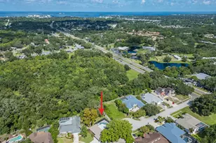 1967 Castille Dr, Dunedin, FL 34698 - Photo 43