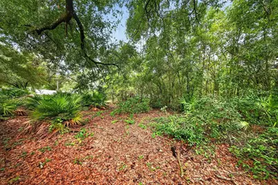 2304 Clement Road, Lutz, FL 33549 - Photo 73
