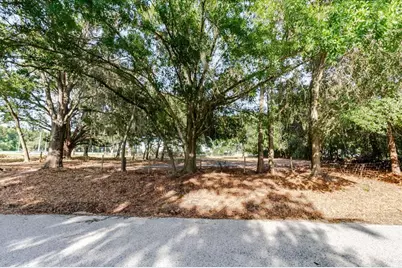 17380 Riverstone Drive, Lutz, FL 33558 - Photo 41