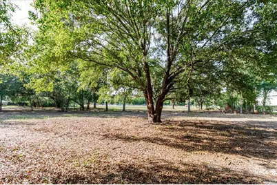 17380 Riverstone Drive, Lutz, FL 33558 - Photo 43