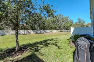 6827 Citrus Creek Ln, Tampa, FL 33625 - Photo 27