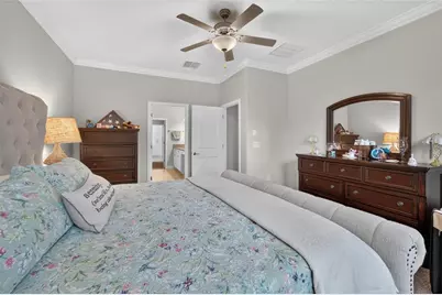 16817 Whisper Elm Street, Wimauma, FL 33598 - Photo 29
