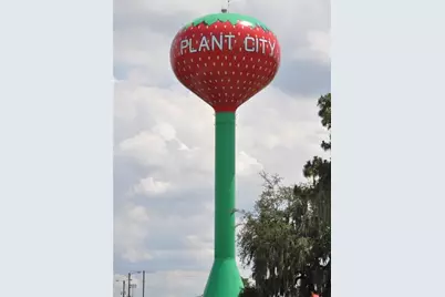 1325 E Laura Street, Plant City, FL 33563 - Photo 23