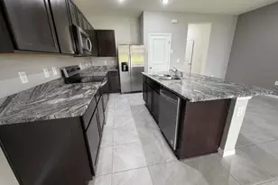 33083 Frosted Clover Wy, Wesley Chapel, FL 33545 - Photo 13