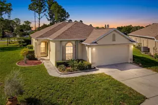 2542 Sandy Hill Ct, Holiday, FL 34691 - Photo 1