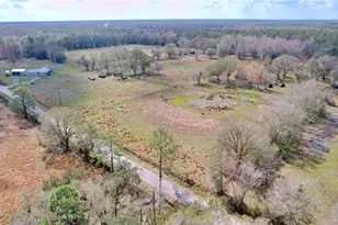 14890 Cr 757, Webster, FL 33597 - Photo 89
