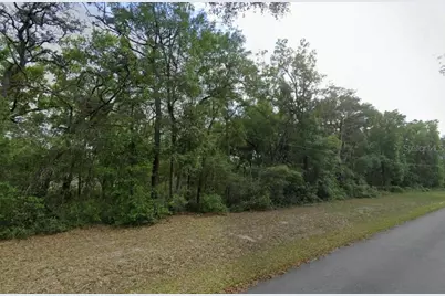 0 SE 59th Place, Ocklawaha, FL 32179 - Photo 1