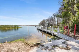 3498 E Woodmont Way, Palm Harbor, FL 34684 - Photo 59