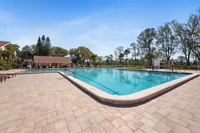 3498 E Woodmont Way, Palm Harbor, FL 34684 - Photo 43