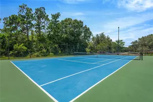 19908 Bluff Oak Blvd, Tampa, FL 33647 - Photo 43