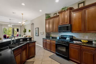 19908 Bluff Oak Boulevard, Tampa, FL 33647 - Photo 3