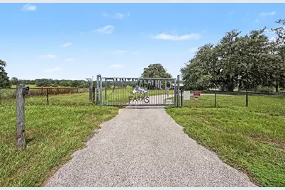 36304 Tomkow Lane, Dade City, FL 33523 - Photo 5
