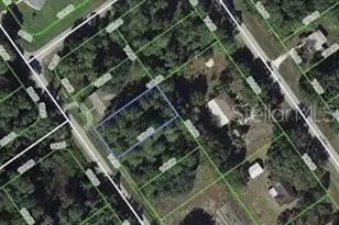 445 Pershing Ave, Lake Placid, FL 33852 - Photo 1