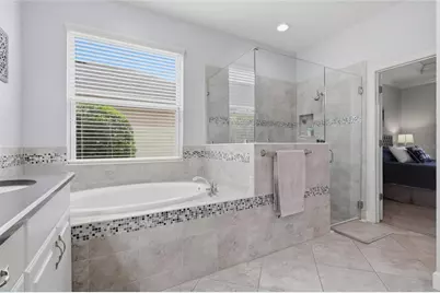 27035 Carolina Aster Drive, Wesley Chapel, FL 33544 - Photo 21