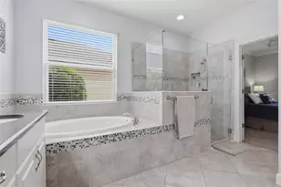 27035 Carolina Aster Dr, Wesley Chapel, FL 33544 - Photo 21