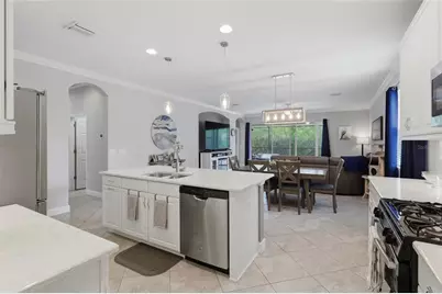 27035 Carolina Aster Drive, Wesley Chapel, FL 33544 - Photo 9