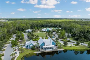 4801 Ballantrae Blvd, Land O Lakes, FL 34638 - Photo 59