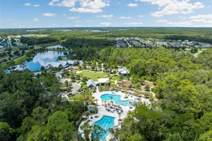 4801 Ballantrae Blvd, Land O Lakes, FL 34638 - Photo 59
