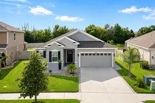 30875 Parrot Reef, Wesley Chapel, FL 33545 - Photo 3