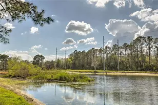 13304 Sanctuary Cove Dr, Tampa, FL 33637 - Photo 51