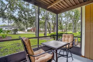 13405 Arbor Pointe Cir, Tampa, FL 33617 - Photo 21