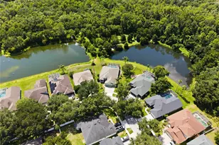 16817 Harrierridge Pl, Lithia, FL 33547 - Photo 43