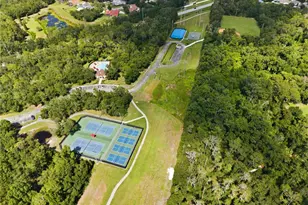 16817 Harrierridge Pl, Lithia, FL 33547 - Photo 43